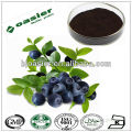 100%Natural high quality blueberry extract